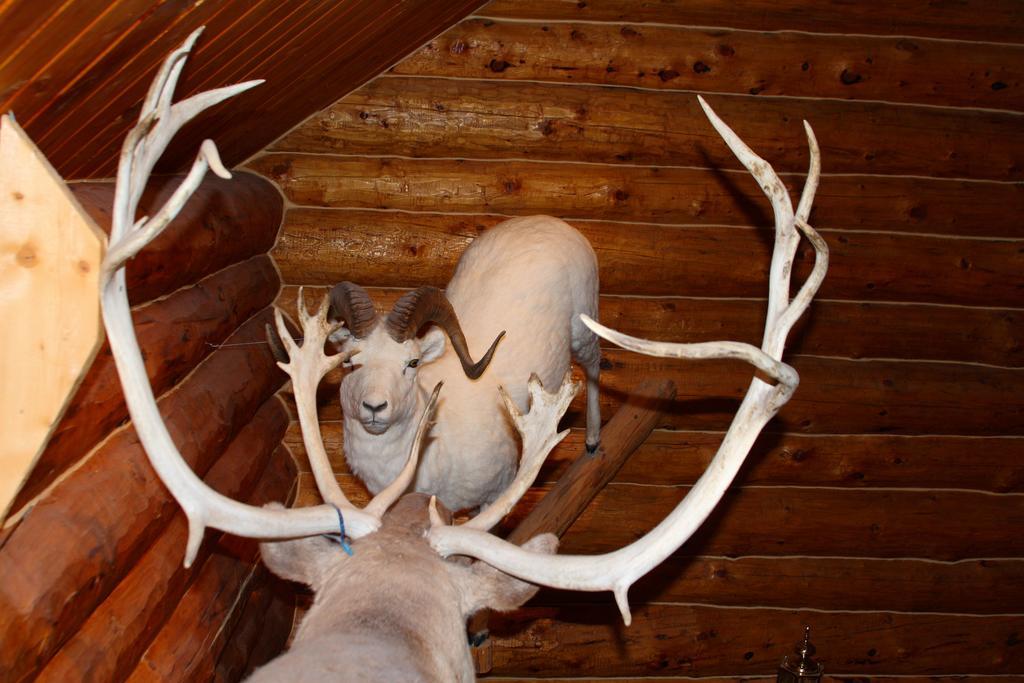 Wise Old Hunter Lodge Anchor Point Rom bilde